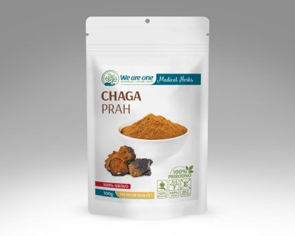 Chaga prah 100g